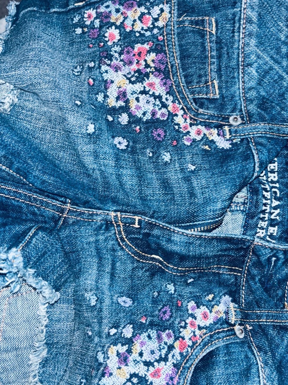 American Eagle Outfitters Blue Denim Floral Embroidered Shorts